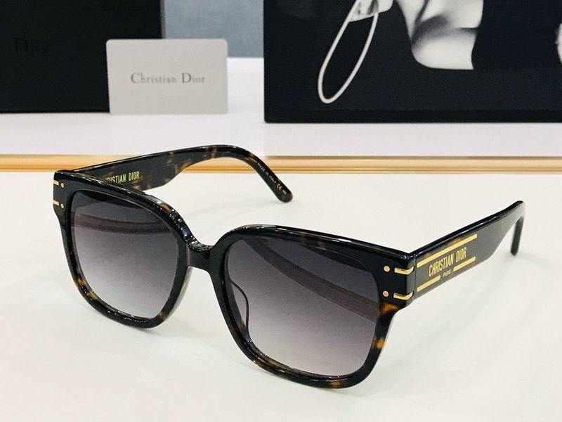 DIOR Sunglasses 419